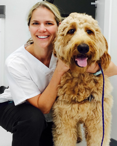 Pet Care Related Links