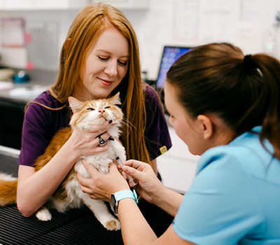 Summerville Pet Vaccinations