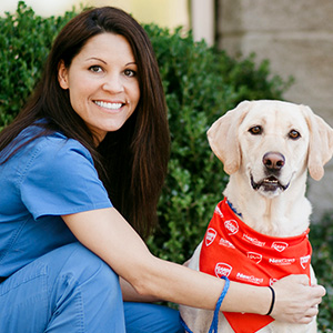summerville veterinary