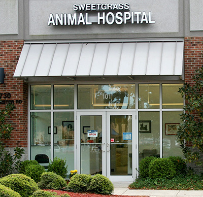 Sweetgrass Animal Hospital Location