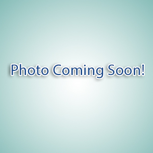 summerville veterinary