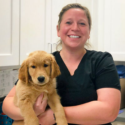 summerville veterinary