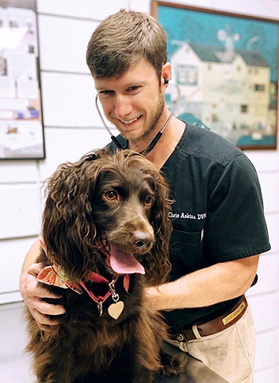 summerville, sc veterinarian