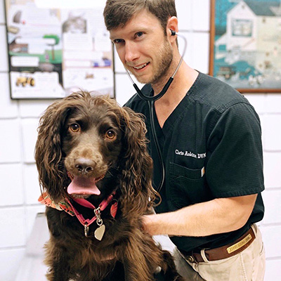 Preparing Your Dog for a Summerville Vet Appointment