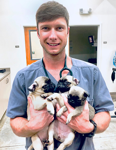 3 Signs of Superb Summerville Primary Veterinary Care
